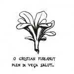 Motto Academiuta di lenga furlana (disegno di Federico De Rocco)