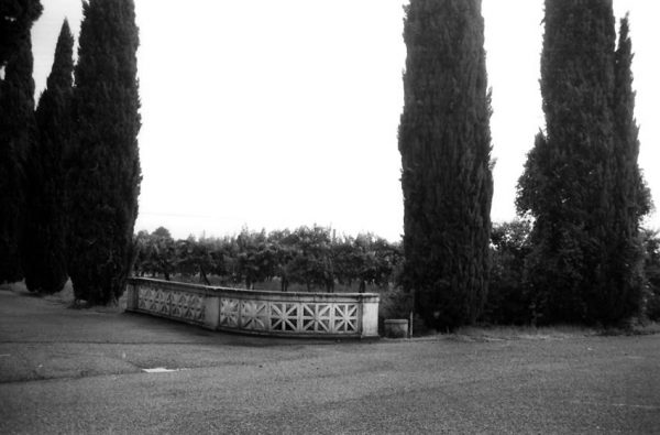 © Giovanna Gammarota, Verso il cimitero di Casarsa II, 2008